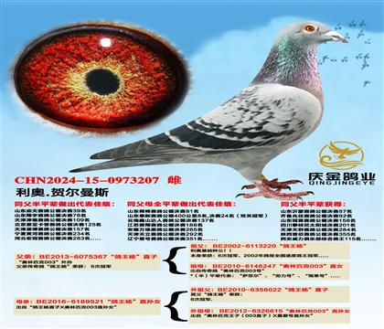 ����.�ն���˹�������ֱ��x�������ֱ��Ů