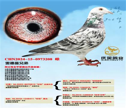 �׵����ֵܡ��û�����������x���û���ֱŮ