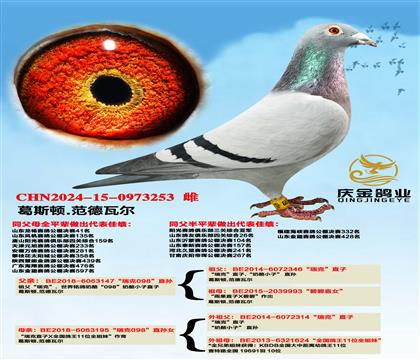 ��˹��.�����߶������098��ֱ��x�����098��ֱ��Ů