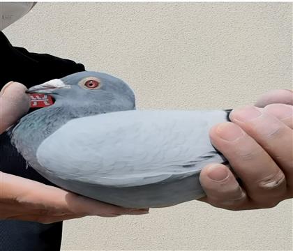 ������������886ֱ��Ů