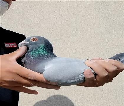 �����ϲ�������������