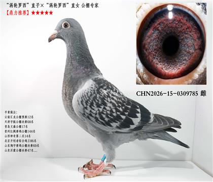 ������������ֱ�ӡ�������������ֱŮ ����ר��