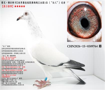 ���ᡤ������ FCI������Ѷ̾�������ȫ��1λ�������ˡ���