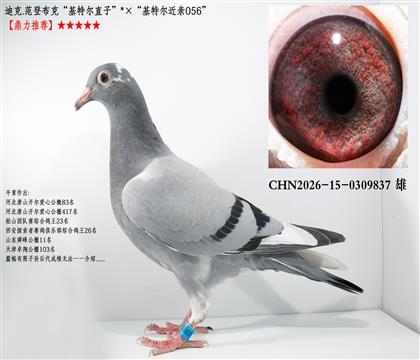 �Ͽ�.���ǲ��ˡ����ض�ֱ�ӡ��������ض�����056��