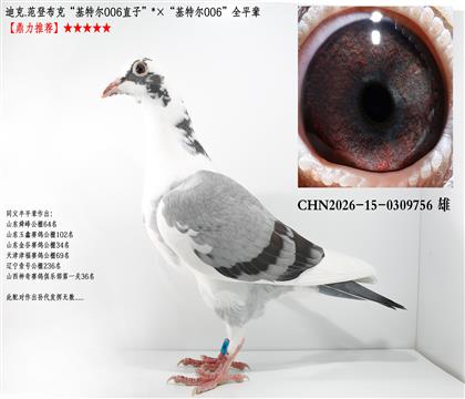 �Ͽ�.���ǲ��ˡ����ض�006ֱ�ӡ��������ض�006��ȫ����