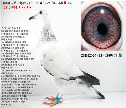 �׵���.�ֵ� ������19�š����û����������������🌹06