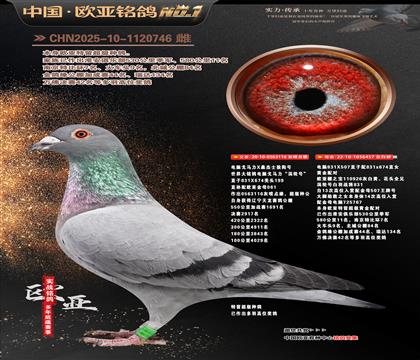 ����Xɣ��ʿ116X����926ֱŮ457