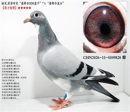 �Ͽ�.���ǲ��ˡ����ض�006ֱ�ӡ��������ض�ֱŮ��