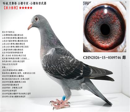 ����.��³�� ����ר�� -������������