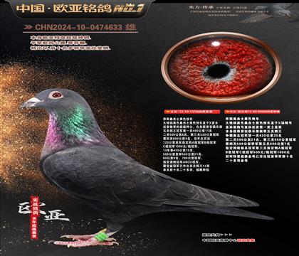 ��˹ɣ��ʿ��ɫ�쳵688X008