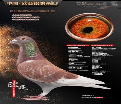 �Ͽ˷��ǲ���ԭ��440X�ƽ��ŷ40000��