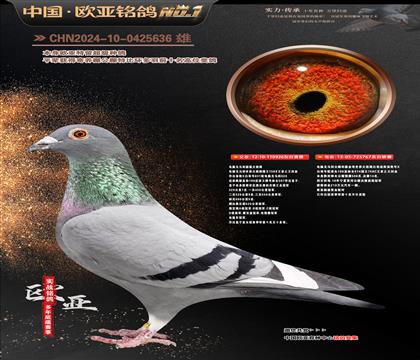 ���Ը�����926X767