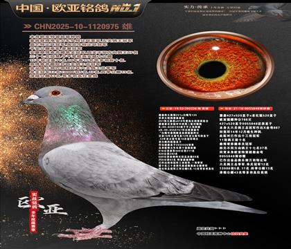 ղɭ251ֱ��326X766ֱŮ848