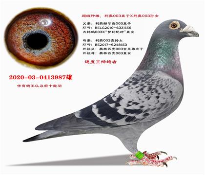 �Ƽ�������003ֱ��X����003��Ů