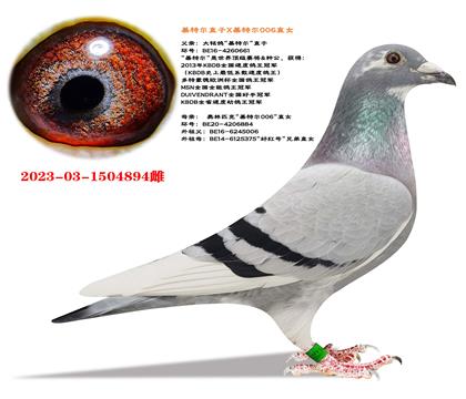 ���ض�ֱ��X���ض�006ֱŮ