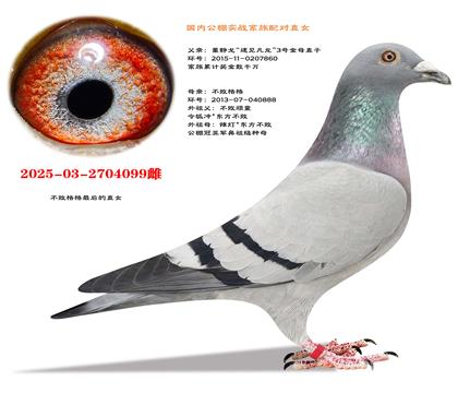 ʵս��Ʒϵ���ټ�����X������X�������ܡ�