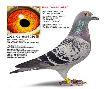 �Ƽ�������������ʼ�ʡ�ֱ��X��С�Ͽˡ�����