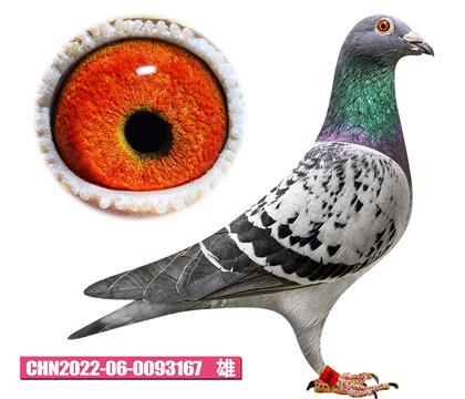 ������-ɱ�������167