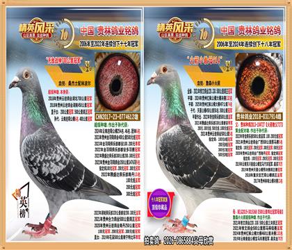 700����ھ�ֱ��.ƽ����㹫��74��132��.����46��