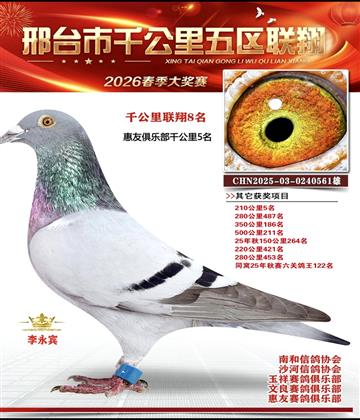 ǧ��������8��