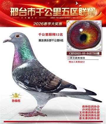 ǧ��������12��