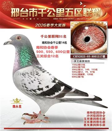 ǧ��������31��