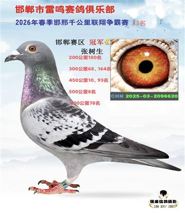 ǧ��������33��