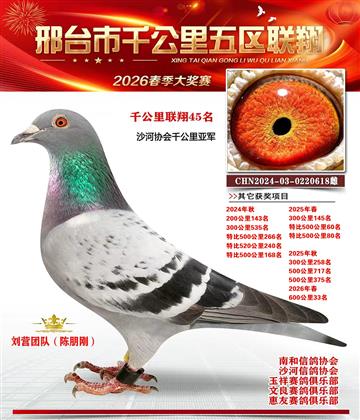 ǧ��������45��