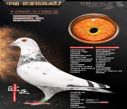 ��˼���ڰ�ѩ����ԭ��935X333