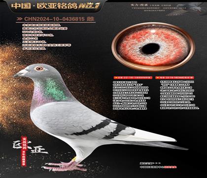 ����Xɣ��ʿֱ��989Xɣ��ʿ682��ĸ