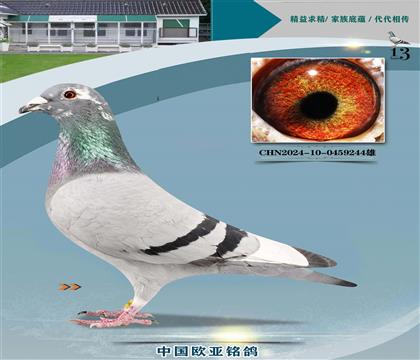 ����ɣ��ʿ�����ֹ�888Xɣ��ʿ521