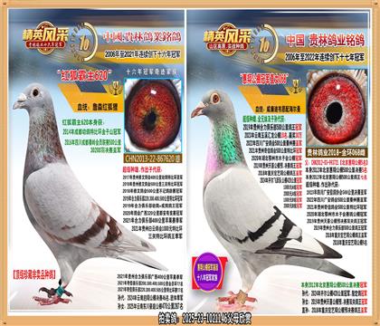 3����500�����Ǿ�ֱ��.ƽ����500��������ھ�