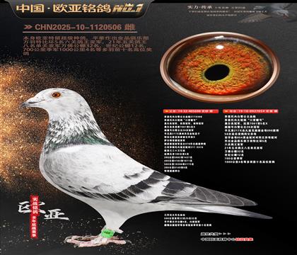 ��˹���ڰ�ѩ����698X054