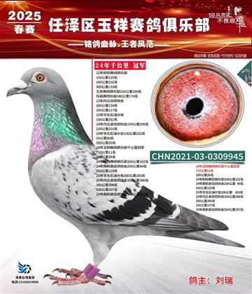 24��������ֲ�ǧ����ھ�