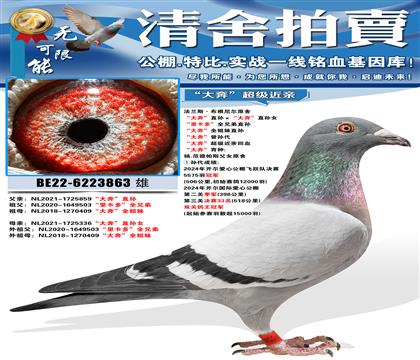 ����˹���������ԭ�� ���󱼡�ֱ������󱼡�ֱ��Ů ���￨��