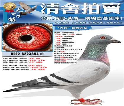 ����˹���������ԭ�� ���󱼡�ֱ������󱼡�ֱ��Ů ���￨��