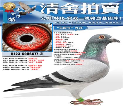 ŵ��.�����˹���ϸ��� ���󱼡�ֱ��������޺š�ֱŮ ����