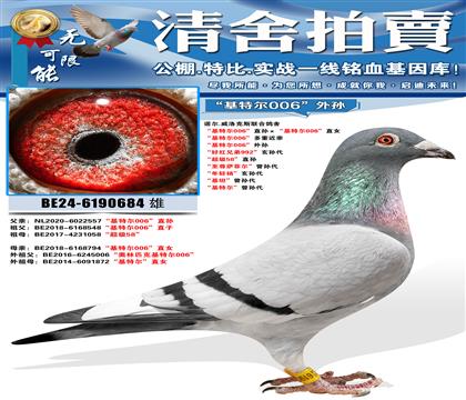 ŵ��.�����˹���ϸ��� �����ض�006��ֱ��������ض�006