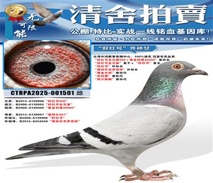 ���ú��ȫ�ֵܡ�ֱ�ӡ����ú�š�ֱŮ ���ú��ȫ�ֵ�992��