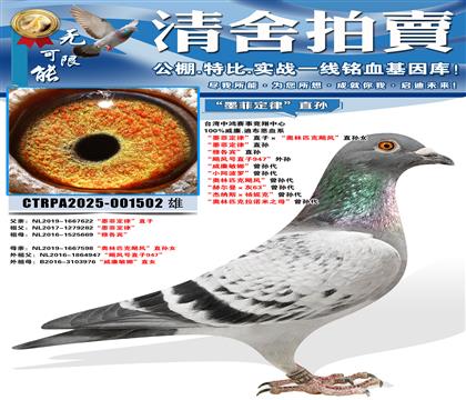 ��ī�ƶ��ɡ�ֱ�ӡ�������ƥ��쫷硱ֱ��Ů ��ī�ƶ��ɡ�ֱ��