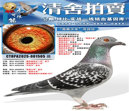 ����ѻ��ض�������ֱ�ӡ���������ꡱֱŮ ����ѻ��ض�������