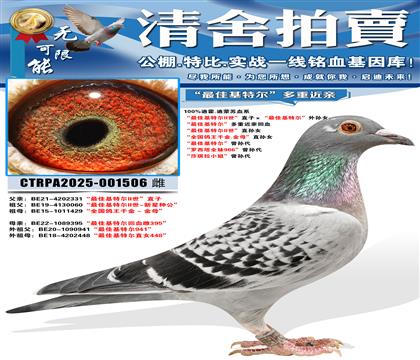 ����ѻ��ض�II����ֱ�ӡ�����ѻ��ض�������Ů ����ѻ��ض�