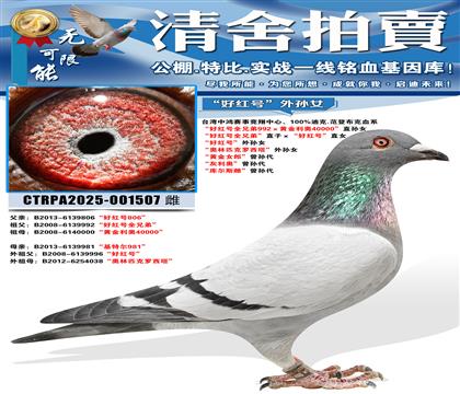 ���ú��ȫ�ֵܡ�ֱ�ӡ����ú�š�ֱŮ ���ú��ȫ�ֵ�992��