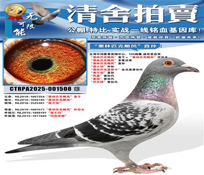 ������ƥ��쫷硱ֱ�ӡ�������ƥ��쫷硱����Ů ������ƥ��쫷�