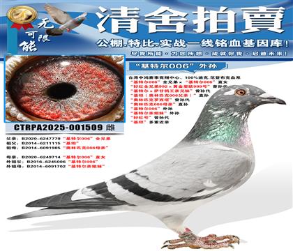 �����ض�006��ȫ�ֵܡ������ض�006��ֱŮ ���ú�ȫ�ֵ�9