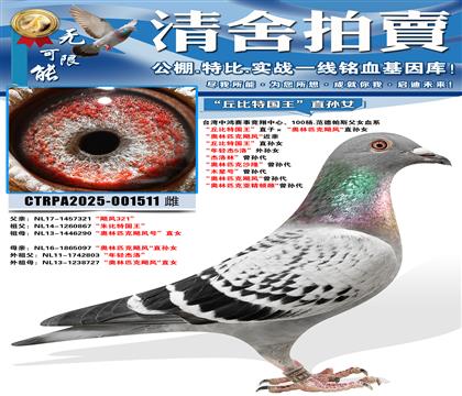 ������ع�����ֱ�ӡ�������ƥ��쫷硱ֱ��Ů ������ƥ��쫷硱