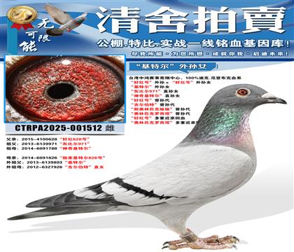 ���ú�š���������ú�š�����Ů �����ض�������Ů ���ұȶ�