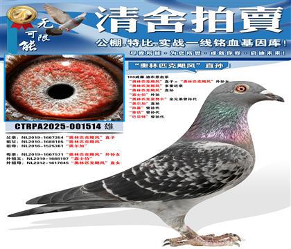 ������ƥ��쫷硱ֱ�ӡ�������ƥ��쫷硱����Ů ������ƥ��쫷�