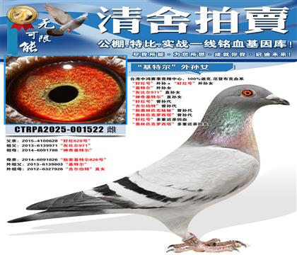 ���ú�š���������ú�š�����Ů �����ض�������Ů ���ұȶ�