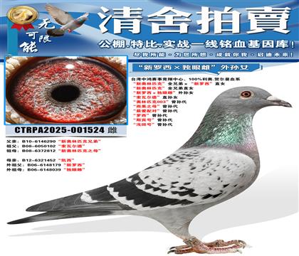 ���°���ƥ�ˡ�ȫ�ֵܡ�����������ֱŮ ���°���ƥ�ˡ�ȫ�ֵ�ֱ